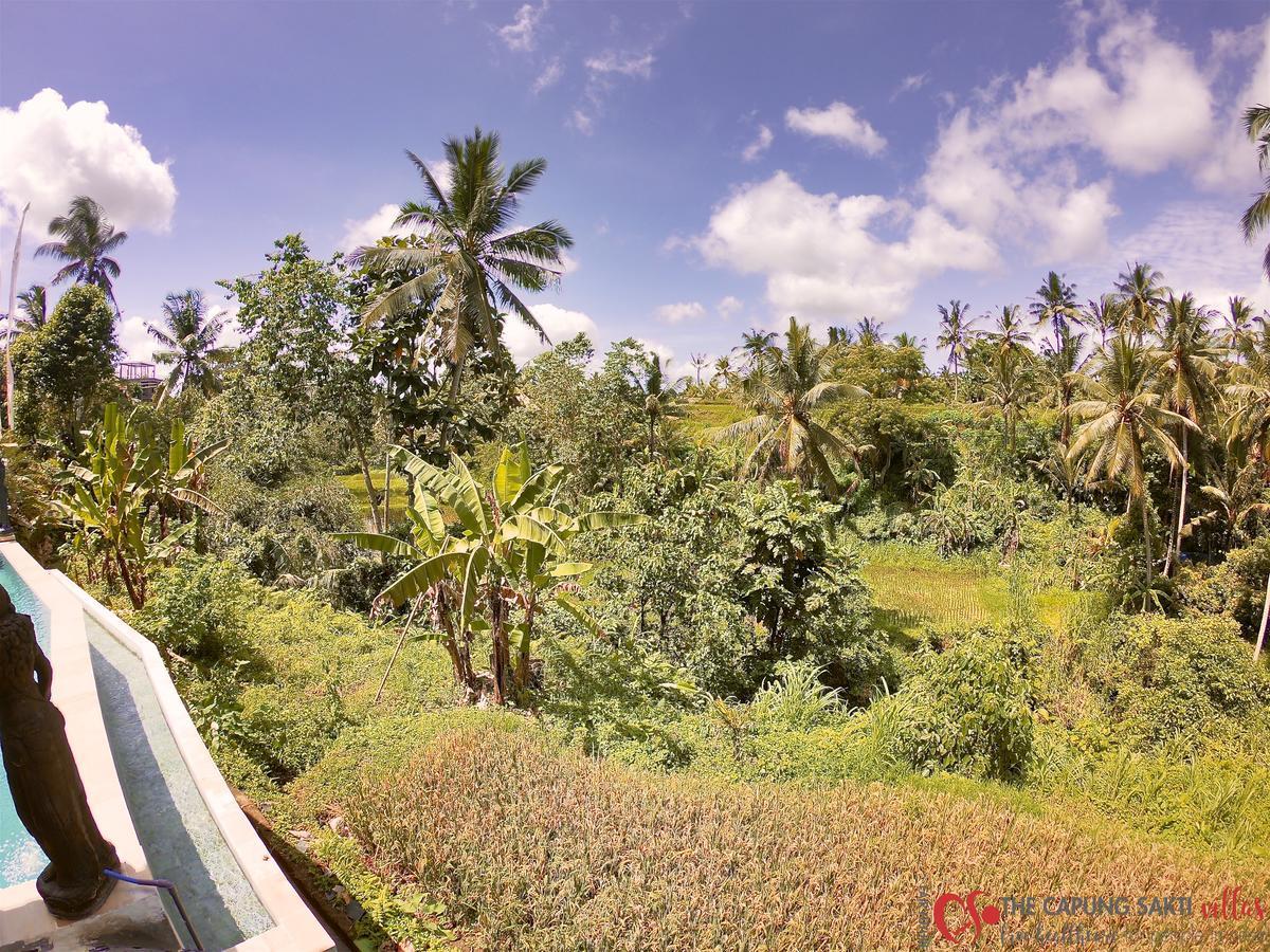 Capung Sakti Villas Ubud  Bagian luar foto