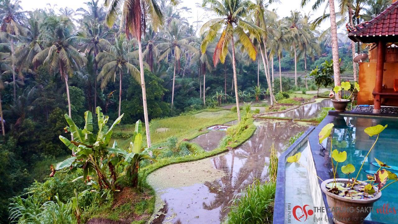 Capung Sakti Villas Ubud  Bagian luar foto