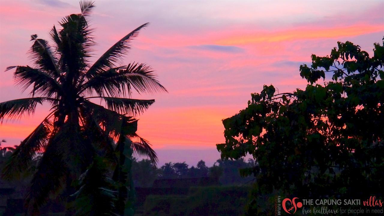 Capung Sakti Villas Ubud  Bagian luar foto