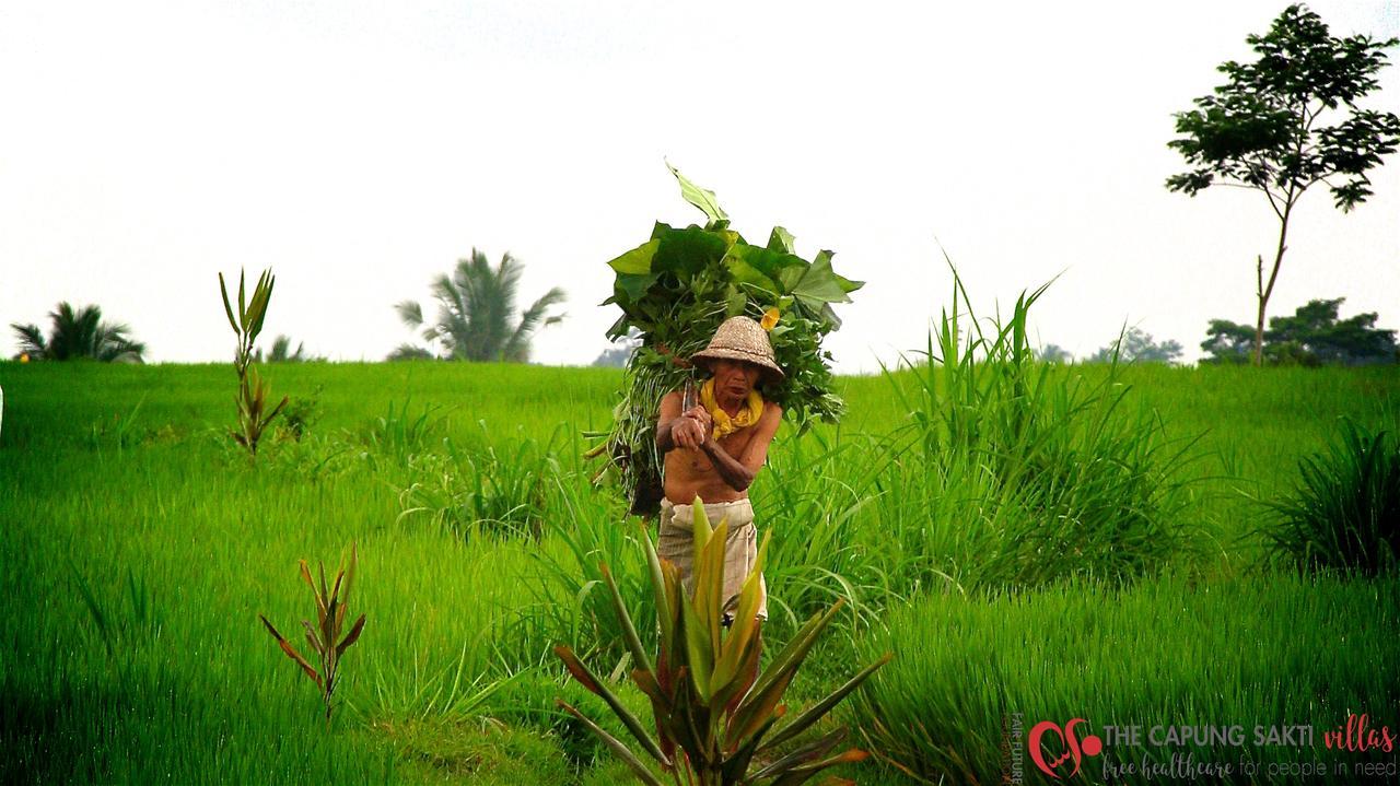 Capung Sakti Villas Ubud  Bagian luar foto