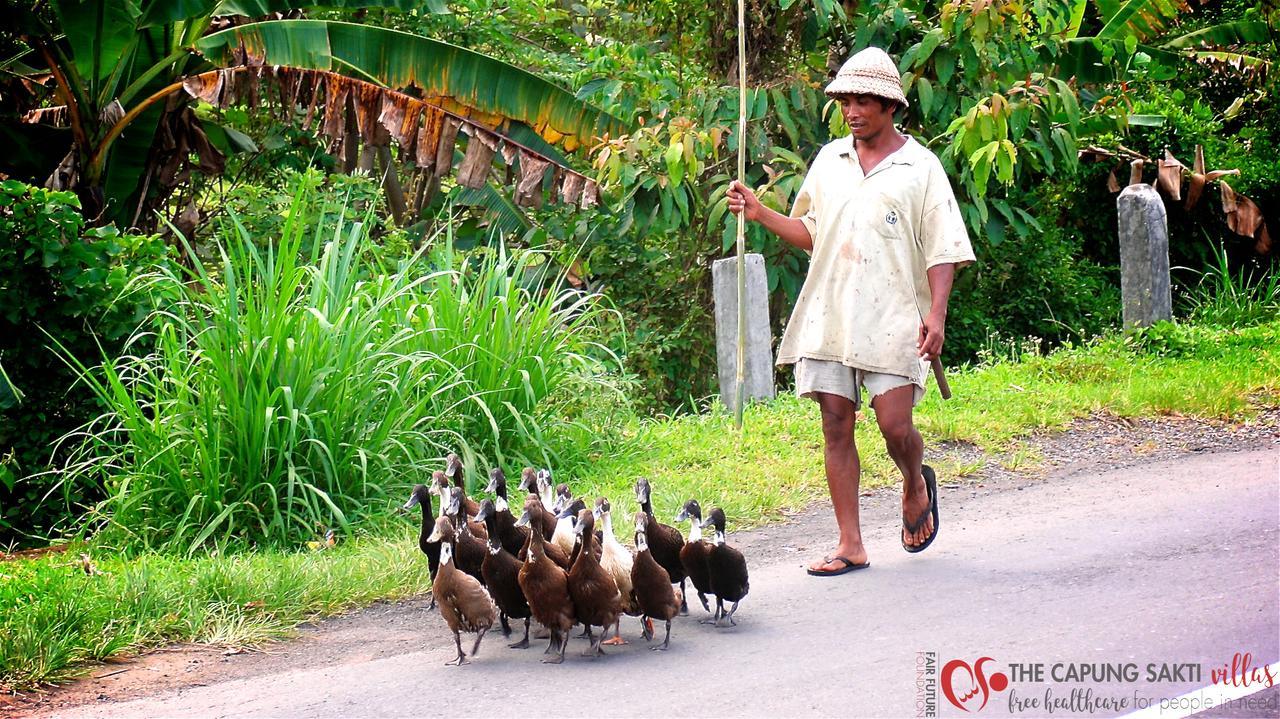 Capung Sakti Villas Ubud  Bagian luar foto